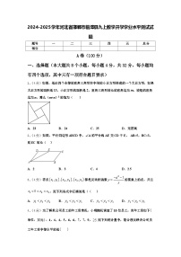 2024-2025学年河北省邯郸市临漳县九上数学开学学业水平测试试题【含答案】