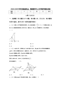 2024-2025学年河南省鲁山、舞钢数学九上开学联考模拟试题【含答案】