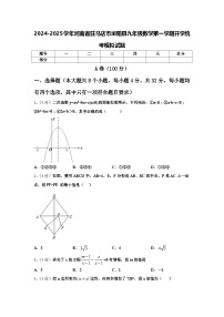 2024-2025学年河南省驻马店市泌阳县九年级数学第一学期开学统考模拟试题【含答案】