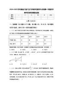 2024-2025学年黑龙江省八五八农场学校数学九年级第一学期开学教学质量检测模拟试题【含答案】