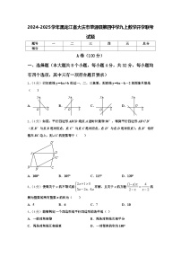 2024-2025学年黑龙江省大庆市肇源县第四中学九上数学开学联考试题【含答案】