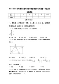 2024-2025学年黑龙江省哈尔滨市巴彦县数学九年级第一学期开学经典试题【含答案】