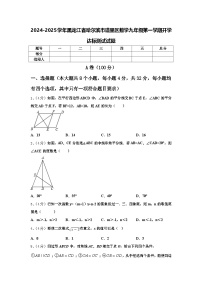 2024-2025学年黑龙江省哈尔滨市道里区数学九年级第一学期开学达标测试试题【含答案】