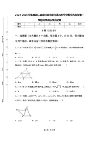 2024-2025学年黑龙江省哈尔滨市哈尔滨风华中学数学九年级第一学期开学达标检测试题【含答案】