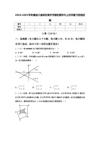 2024-2025学年黑龙江省哈尔滨市平房区数学九上开学复习检测试题【含答案】