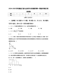 2024-2025学年黑龙江省七台河市九年级数学第一学期开学复习检测试题【含答案】