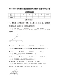 2024-2025学年黑龙江省望奎县数学九年级第一学期开学学业水平测试模拟试题【含答案】