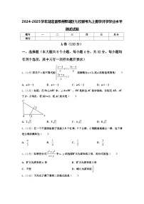 2024-2025学年湖北省鄂州鄂城区七校联考九上数学开学学业水平测试试题【含答案】