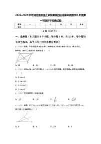 2024-2025学年湖北省恩施土家族苗族自治州来凤县数学九年级第一学期开学经典试题【含答案】