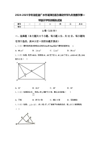 2024-2025学年湖北省广水市城郊街道办事处中学九年级数学第一学期开学检测模拟试题【含答案】