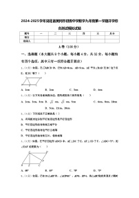 2024-2025学年湖北省黄冈市初级中学数学九年级第一学期开学综合测试模拟试题【含答案】