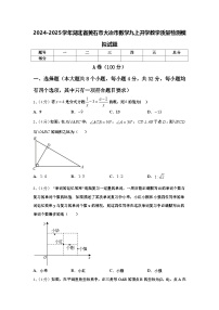 2024-2025学年湖北省黄石市大冶市数学九上开学教学质量检测模拟试题【含答案】