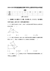 2024-2025学年湖北省黄石市第八中学九上数学开学学业水平测试试题【含答案】