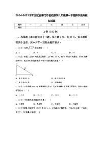 2024-2025学年湖北省荆门市名校数学九年级第一学期开学统考模拟试题【含答案】