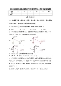 2024-2025学年湖北省荆州市荆州区数学九上开学考试模拟试题【含答案】