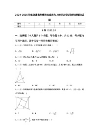 2024-2025学年湖北省荆州市松滋市九上数学开学达标检测模拟试题【含答案】