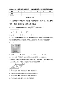 2024-2025学年湖北省潜江市十校联考数学九上开学考试模拟试题【含答案】