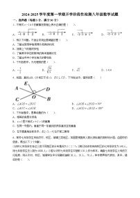 山东省齐河县刘桥乡中学2024-2025学年八年级上学期数学开学阶段检测试题(无答案)