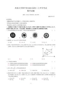 重庆市北碚区西南大学附属中学校2024-2025学年九年级上学期开学考试数学试题