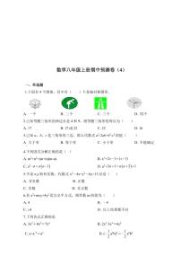 人教版数学八年级上册期中预测卷（4）