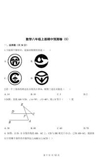 人教版数学八年级上册期中预测卷（5）