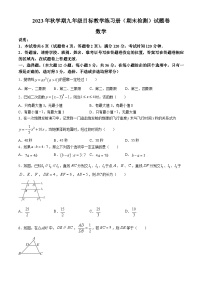 广西梧州市苍梧县2023-2024学年九年级上学期期末检测数学试题