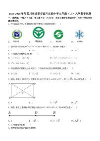 四川省成都市武侯区西川实验学校2024-2025学年九年级上学期入学数学试题