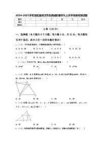 2024-2025学年湖北省武汉市东西湖区数学九上开学质量检测试题【含答案】