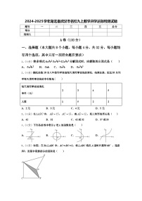 2024-2025学年湖北省武汉市名校九上数学开学达标检测试题【含答案】