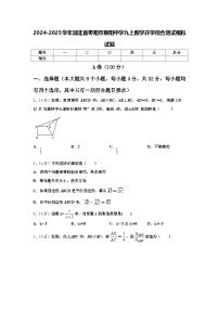 2024-2025学年湖北省枣阳市蔡阳中学九上数学开学综合测试模拟试题【含答案】