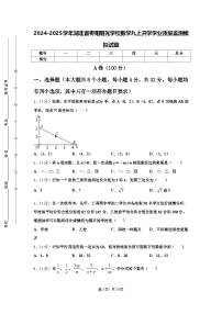 2024-2025学年湖北省枣阳阳光学校数学九上开学学业质量监测模拟试题【含答案】