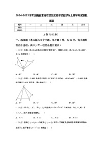 2024-2025学年湖南省常德市芷兰实验学校数学九上开学考试模拟试题【含答案】