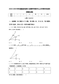 2024-2025学年湖南省涟源市六亩塘中学数学九上开学教学质量检测模拟试题【含答案】