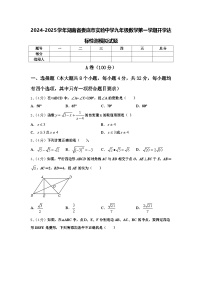 2024-2025学年湖南省娄底市实验中学九年级数学第一学期开学达标检测模拟试题【含答案】