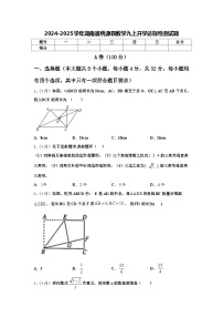 2024-2025学年湖南省桃源县数学九上开学达标检测试题【含答案】