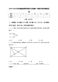 2024-2025学年湖南省湘潭市数学九年级第一学期开学统考模拟试题【含答案】