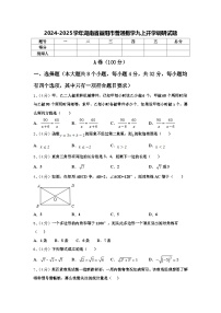 2024-2025学年湖南省益阳市普通数学九上开学调研试题【含答案】