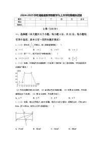 2024-2025学年湖南省新邵县数学九上开学经典模拟试题【含答案】