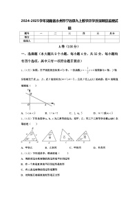 2024-2025学年湖南省永州市宁远县九上数学开学质量跟踪监视试题【含答案】