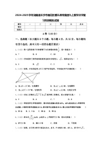 2024-2025学年湖南省长沙市雨花区雅礼教育集团九上数学开学复习检测模拟试题【含答案】