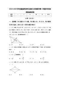 2024-2025学年湖南省株洲市石峰区九年级数学第一学期开学质量跟踪监视试题【含答案】