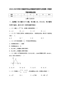 2024-2025学年江苏南京市东山外国语学校数学九年级第一学期开学联考模拟试题【含答案】