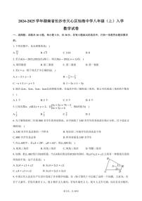 [数学]2024～2025学年湖南省长沙市天心区怡海中学八年级(上)入学试卷(有答案)