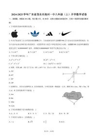 [数学]2024～2025学年广东省茂名市高州一中八年级(上)开学试卷(有答案)