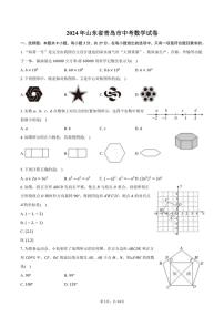 [数学]2024年山东省青岛市中考真题试卷(有答案)