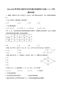 2024-2025学年四川省泸州市龙马潭区两校联考九年级（上）开学数学试卷（含答案）