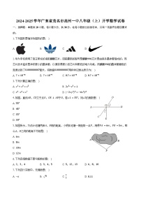 2024-2025学年广东省茂名市高州一中八年级（上）开学数学试卷（含答案）