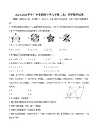 2024-2025学年广东省深圳中学九年级（上）开学数学试卷（含答案）