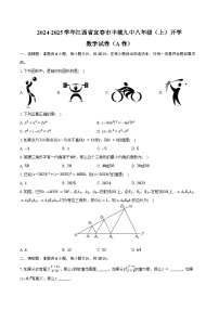 2024-2025学年江西省宜春市丰城九中八年级（上）开学数学试卷（A卷）（含答案）