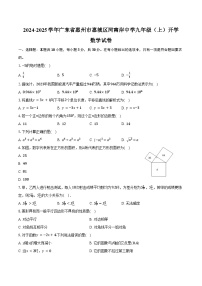 2024-2025学年广东省惠州市惠城区河南岸中学九年级（上）开学数学试卷（含答案）